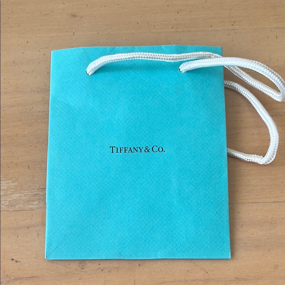 Tiffany & Co. Turquoise Shopping Bag